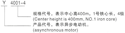 西安泰富西玛Y系列(H355-1000)高压李沧三相异步电机型号说明